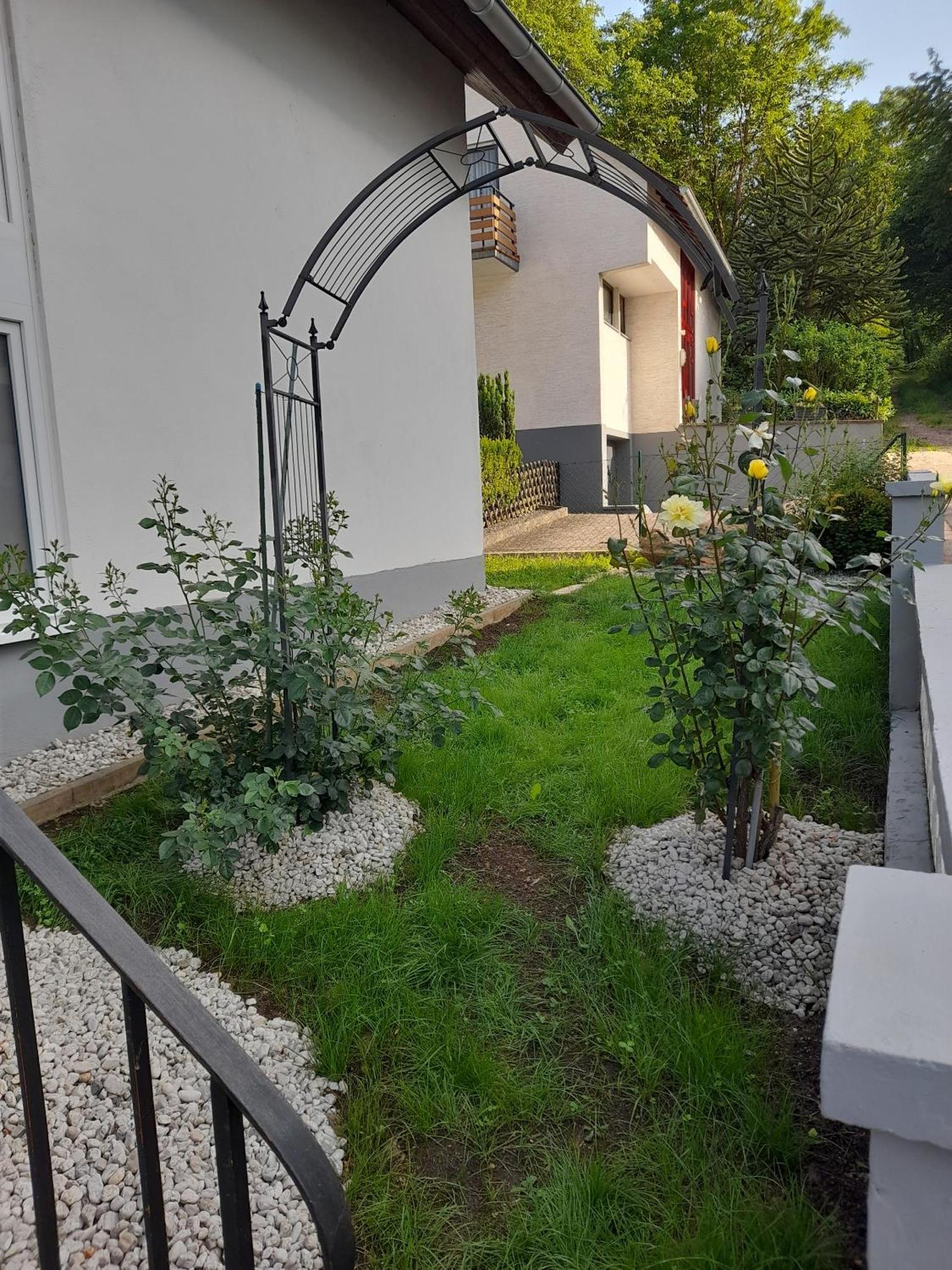 Gaestezimmer Bernkastel - Gaestehaus Barbara Exteriör bild